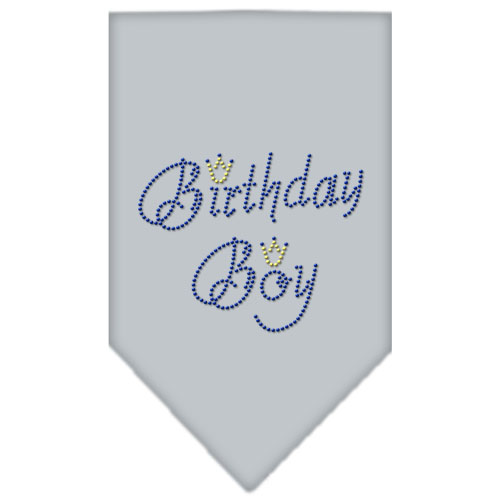 Birthday Boy Rhinestone Bandana Grey Large